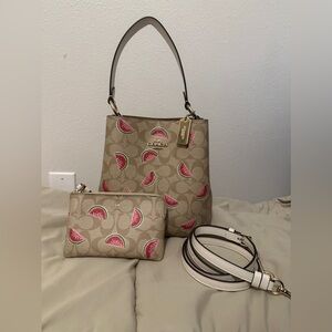 Coach bucket bag watermelon print 🍉🍉